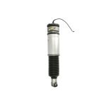 Stötdämpare för luft MAGNUM TECHNOLOGY APB009MT