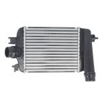 Ladeluftkühler MAGNETI MARELLI 351319206100