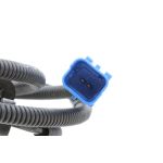 Foto van het product 2