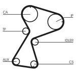 Set di cinghie di distribuzione CONTINENTAL CT949K2