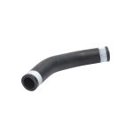 Kühlerschlauch DT Spare Parts 1.11657