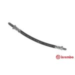 Flexible de frein BREMBO T 24 101