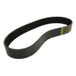 Ceinture Variant GATES 1425168-GAT