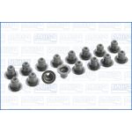 Dichtungssatz, Ventilschaft AJUSA 57052400