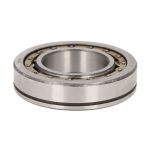 Roulements à rouleaux cylindriques SKF NJ 304 ECP/C3 /SKF/