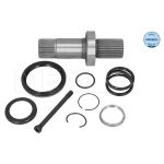 Steckwelle, Differential MEYLE 100 498 0251