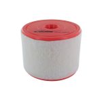 Luftfilter VAICO V10-2187