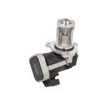 AGR Ventil BORG WARNER 7529D