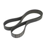 Keilrippenriemen Schaeffler INA FB 10PK1966XD