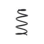 Fahrwerksfeder MAGNUM TECHNOLOGY SZ1116