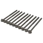 Bultsats för cylinderhuvud REINZ 14-12813-01