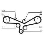 Set di cinghie di distribuzione CONTINENTAL CT920K3