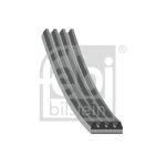 Keilrippenriemen FEBI BILSTEIN 192872