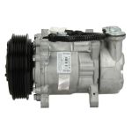 Compressore aria condizionata DELPHI TSP0159242