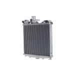 Motorradiateur HELLA 8MK366 304-091