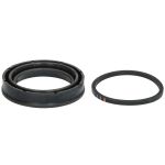 Kit de reparação, pinça de travão AUTOFREN SEINSA D44488