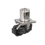 AGR Ventil BORG WARNER 710095D