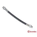 Latiguillo de freno BREMBO T 06 031