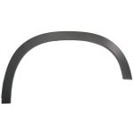 Aile - moulure / protection BLIC 5703-04-3220471P