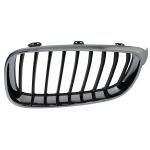 Grille de radiateur BLIC 6502-07-0081991GP