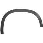 Aile - moulure / protection BLIC 5703-08-3220374P