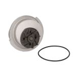 Wasserpumpe Schaeffler INA 538 0302 10