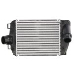 Intercooler MAGNETI MARELLI 351319206150