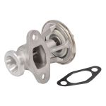 AGR Ventil HELLA 6NU 014 865-461