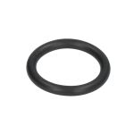 O-ring da base PARSUN JASO-F404-31-025