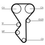 Set di cinghie di distribuzione CONTINENTAL CT955K1