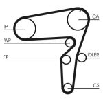 Distributieriemset CONTINENTAL CT1076K2