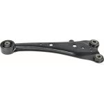 HinterHjulupphängningsarm HERTH+BUSS ELPARTS J4952523