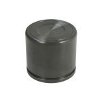 Zuiger, remklauwcilinder AUTOFREN SEINSA D0-25544