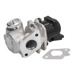 AGR Ventil BORG WARNER 711021D
