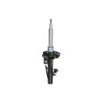 Stoßdämpfer ARNOTT EUROPE MR-5089