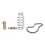 Reparatursatz, Wasserpumpe DT Spare Parts 7.94800