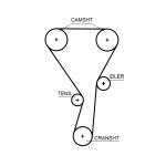 Tandriem GATES 5699XS