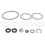 Kit de reparação, cilindro hidráulico PNEUMATICS 271-P