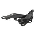 Motorhaube, Scharniere BLIC 6802-00-8179451P