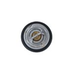 Thermostat NRF 725062