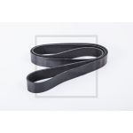 Cinghia Poly-V PETERS 080.760-00A