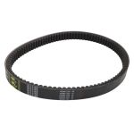 Ceinture Variant GATES 0111123-GAT