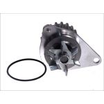 Vattenpump MAGNETI MARELLI 352316170888