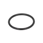 Dichtring EURORICAMBI 60531378