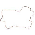 Joint couvre culbuteurs REINZ 71-21909-00
