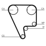 Set di distribuzione della valvola (cinghia + puleggia) CONTINENTAL CT 794 K1