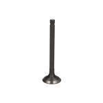 Utloppsventil PARSUN F15-07040002