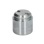 Kolv, bromsok AUTOFREN SEINSA D025691