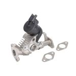 AGR Ventil HELLA 6NU 014 864-981