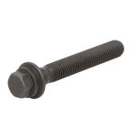 Parafuso da polia SASIC 8706028